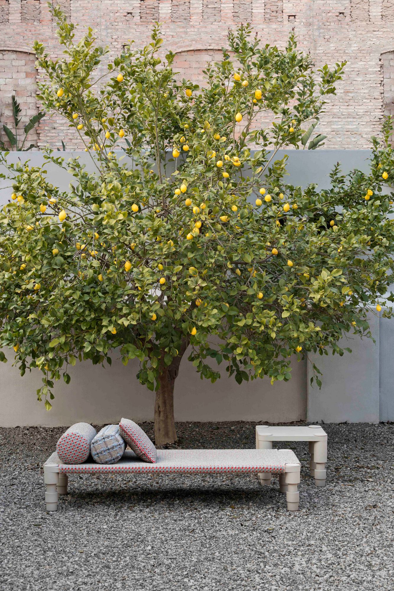 Садовая скамейка / Садовая кровать из полипропилена GAN садовые слои ARCH-00019228 - Вид №1