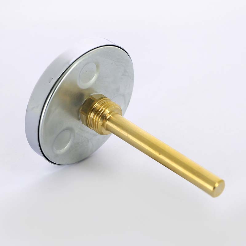 Термометр биметаллический F+R801 80мм с погружной гильзой WATTS Ind 120 град.C гильза 100мм 10005950 - Вид №2