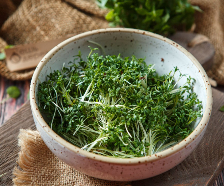 5503 Микрозелень кресс-салат Вкусляндия  - Вид №1