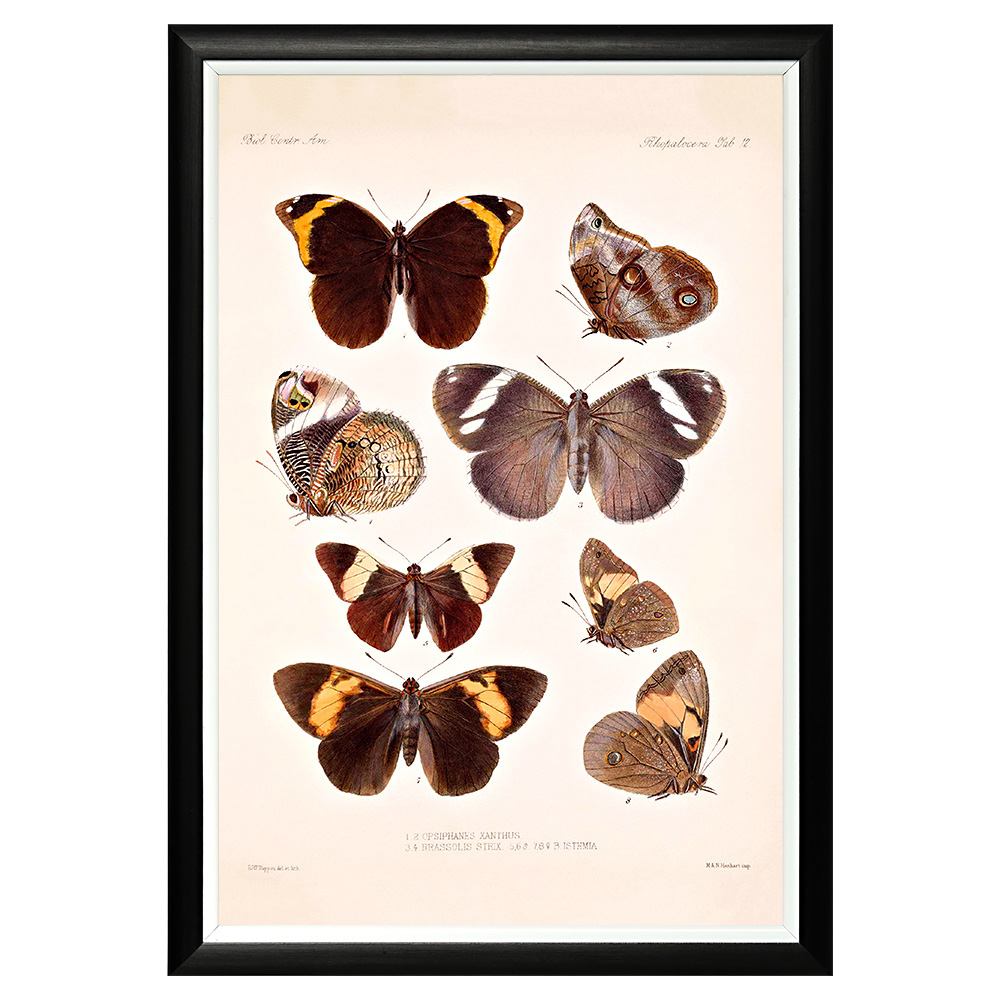 782752383_1818 Арт-постер «Тропический рай», версия 17 Object Desire 