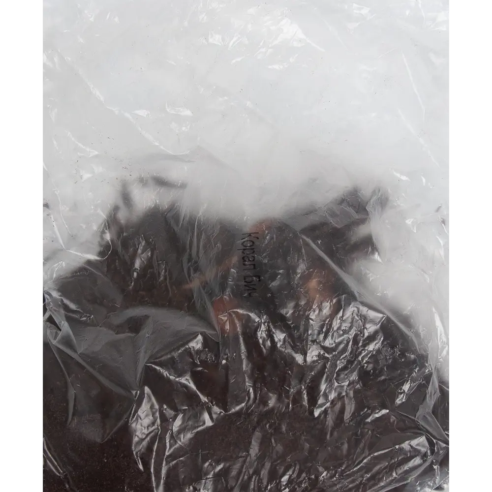 Пион молочноцветковый травянистый Корал Бич ПОИСК STLM-2167219 - Вид №1