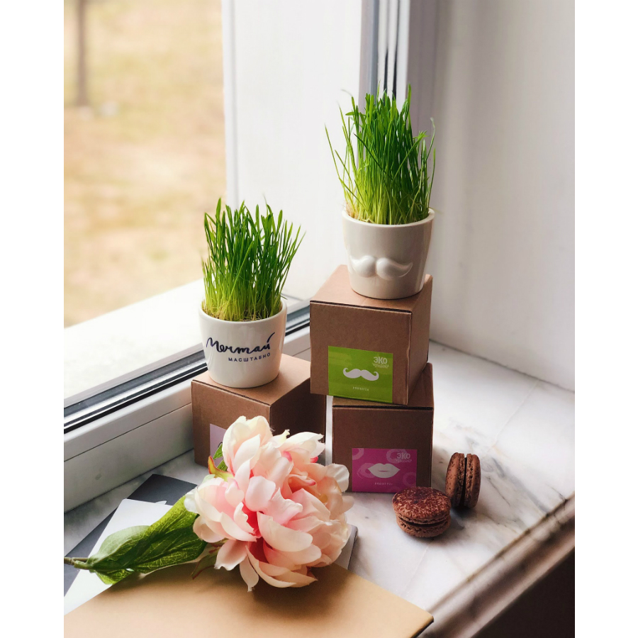 Набор для выращивания Eco мини-кашпо «Усы» ЭКОЧЕЛОВЕКИ MIN102 - Вид №10