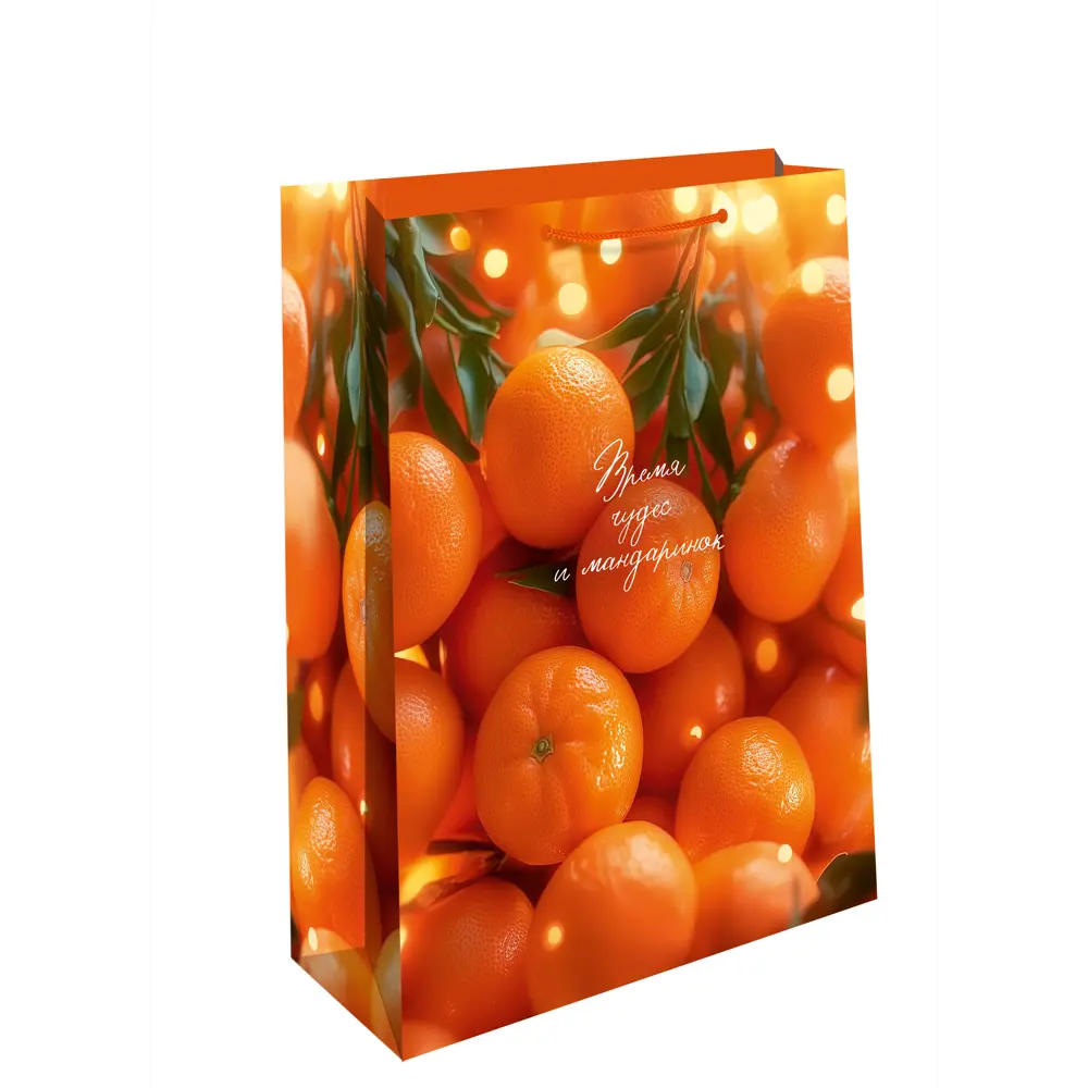 Подарочный пакет Арт и дизайн 24x18 см в ассортименте STLM-2033791 - Вид №1