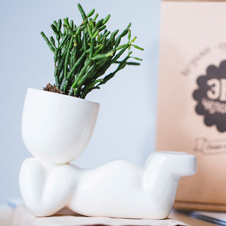 Набор для выращивания eco "Мечтатель" ЭКОЧЕЛОВЕКИ  254576 Белый  - Вид №3