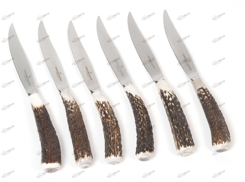 Officine Gullo Набор ножей для стейка из нержавеющей стали sun-id-1416585