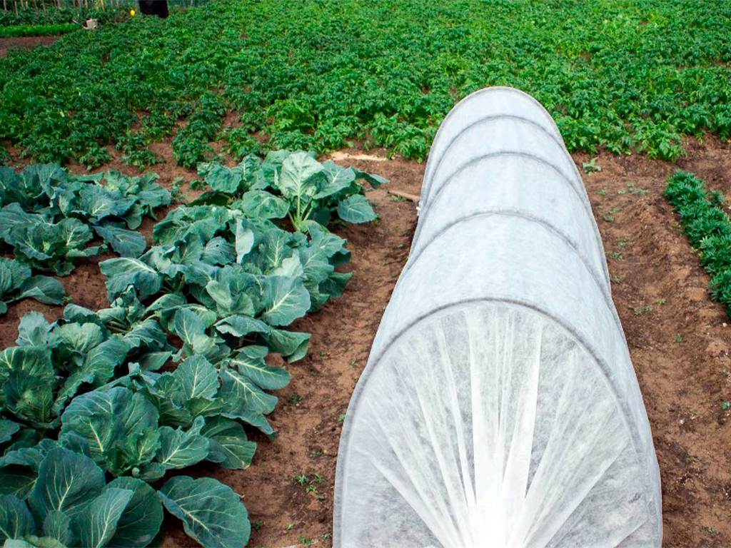 Спанбонд белый СУФ 60, 3,2*10 м ГеоПластБорд GPBST-119 - Вид №1