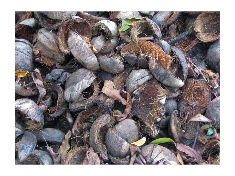 455505 Кокосовый коврик Buerstenwelt  - Вид №3