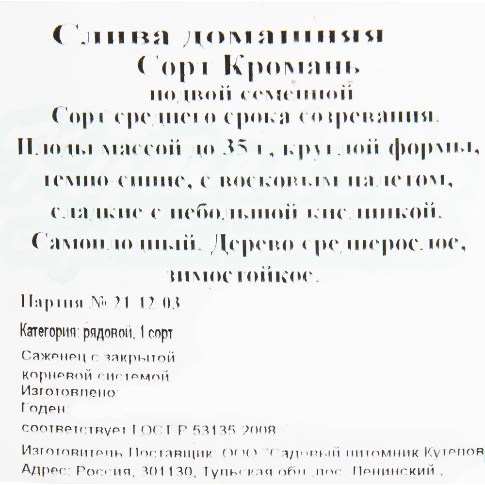 Слива «Кромань» C4 высота 140 см 82597135 STLM-2189595 Santreyd  - Вид №1