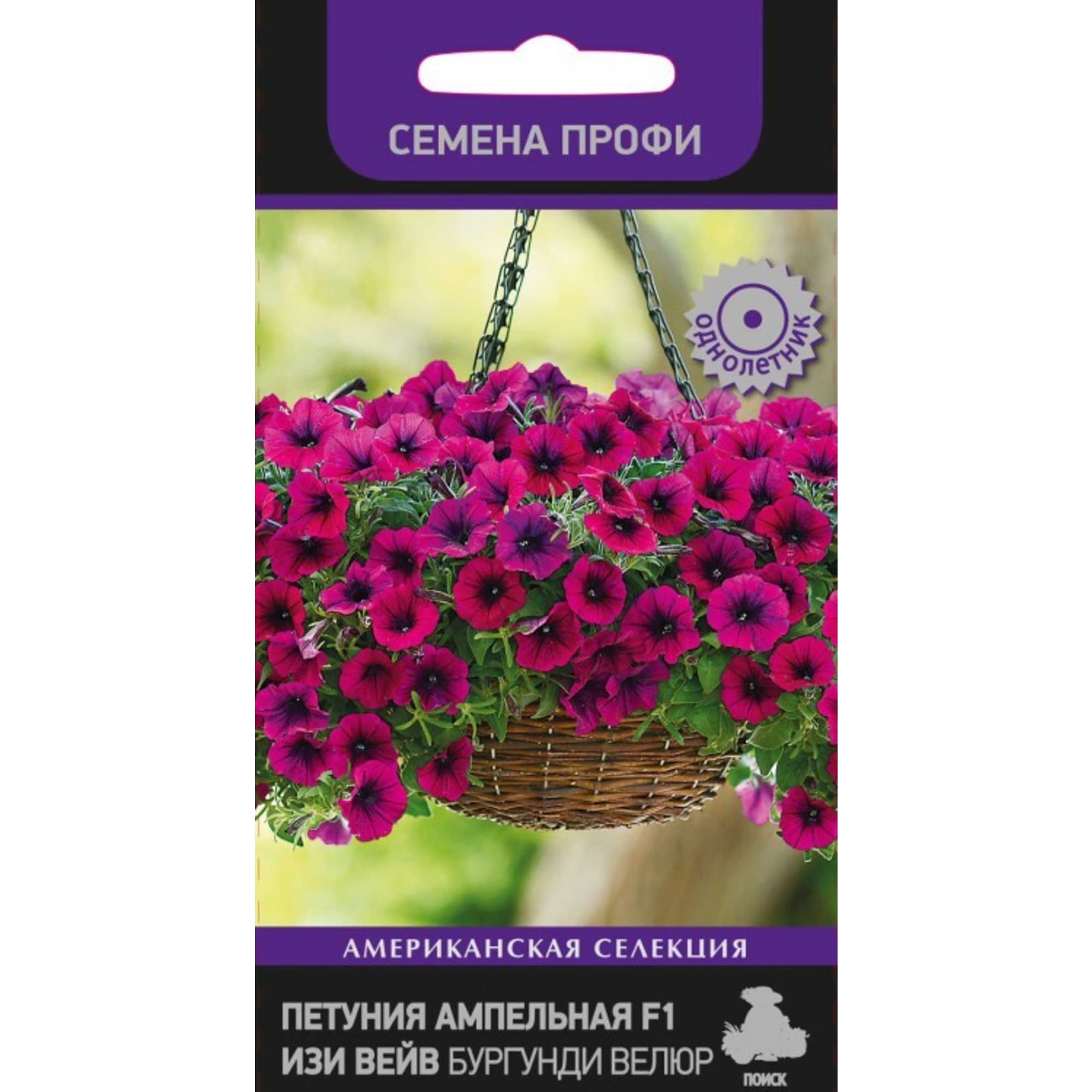 83227402 Семена Петуния Ампел «F1 Изи Вейв Бургунди Велюр» Santreyd 
