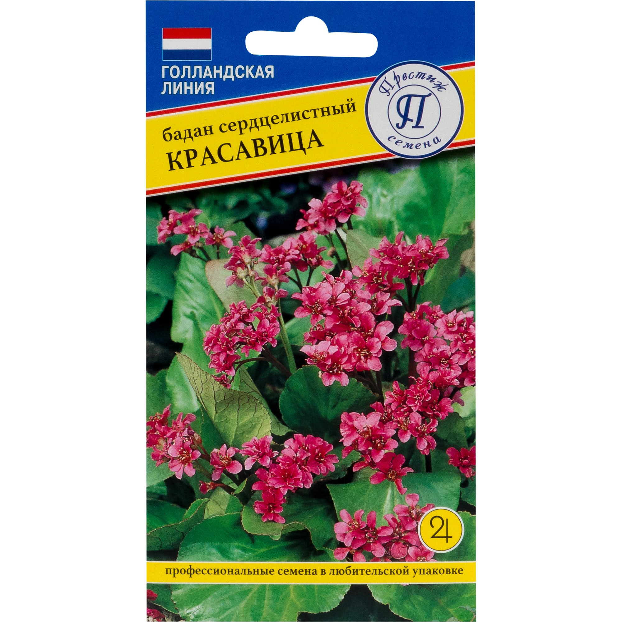 82107683 Бадан «Красавица» Santreyd 