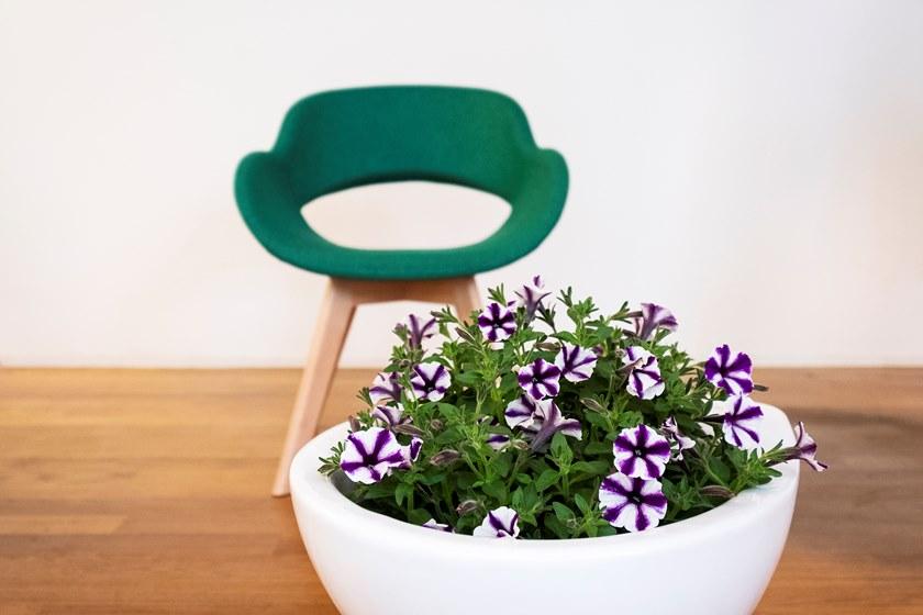 Real Piel Мягкое кресло с подлокотниками sun-id-1463615 - Вид №5