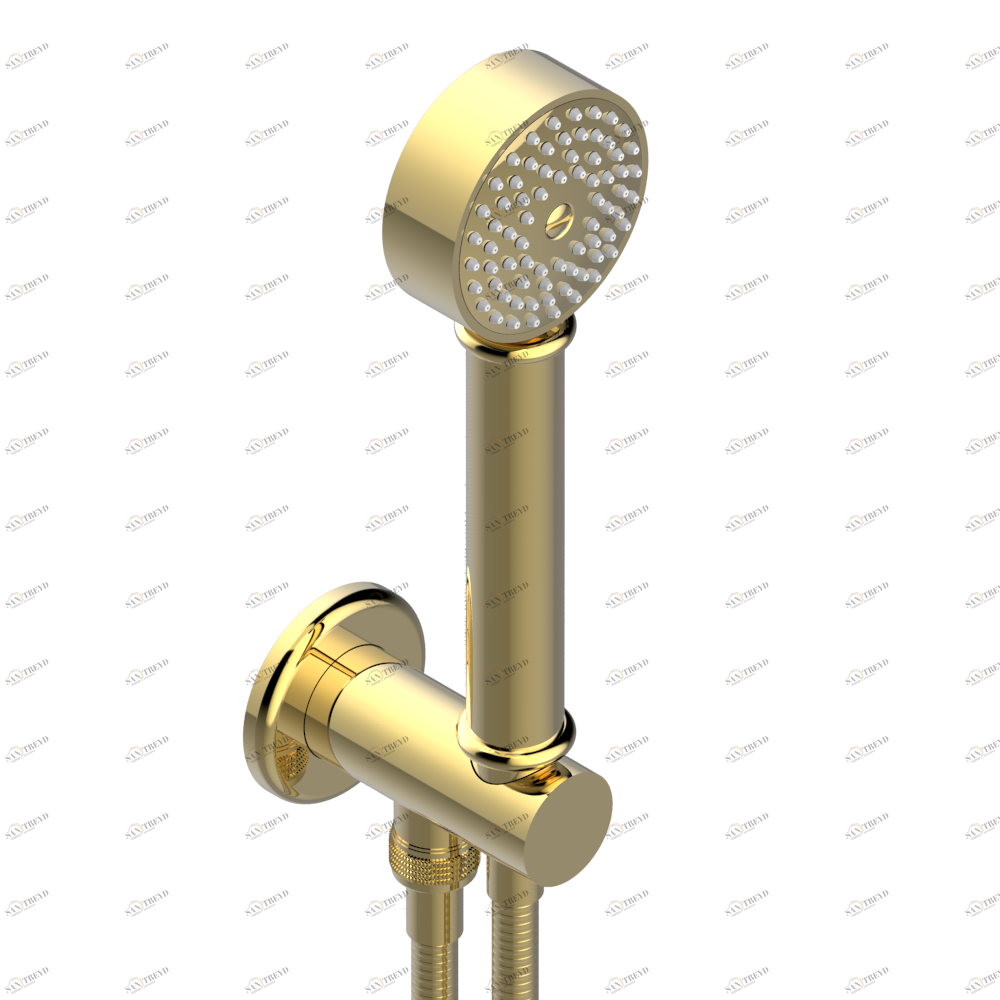 G7A-54 Душ ручной стильный встраиваемый в стену, шланг и патрубок для душа с крючком Thg-paris Beaubourg Покрытие PVD золотистый цвет G7A 54 CAT.F