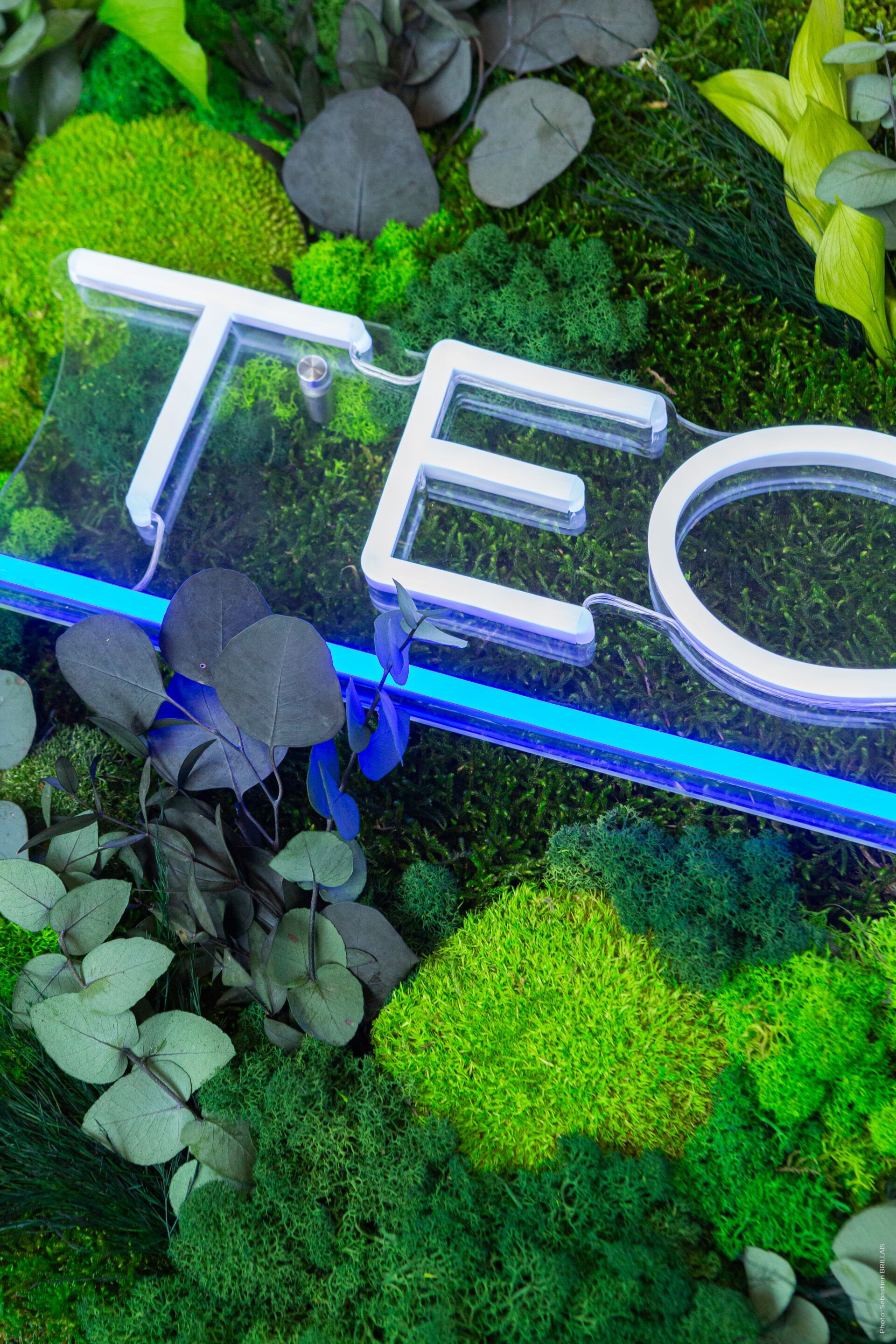 Растительная картина в лишайниках Tecsound PureKustik ARCH-00093539 - Вид №8