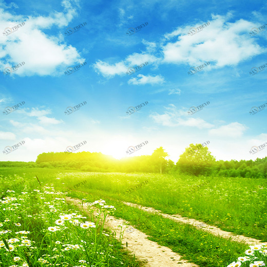 D2-078 Фотообои DIVINO Collection D 2.7х3 м D2078