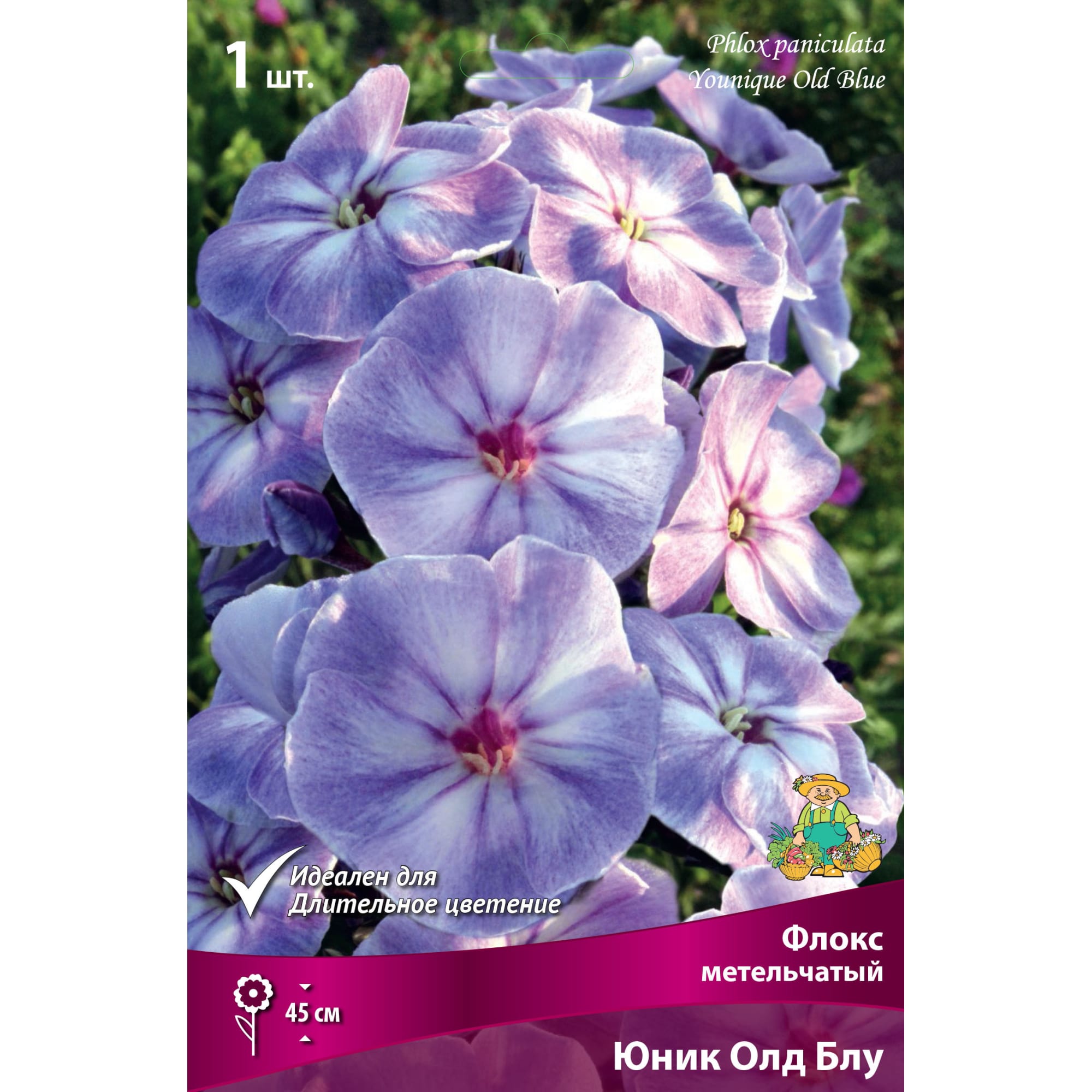 82530311 Флокс метельч Юник Олд Блу для Патио Santreyd 