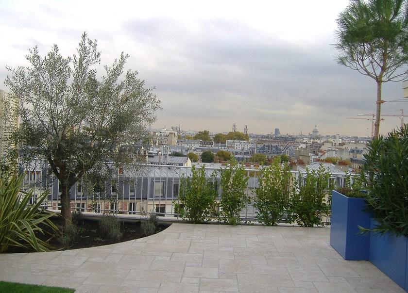 IMAGE'IN Комбинированная сеялка sun-id-1411471 - Вид №1