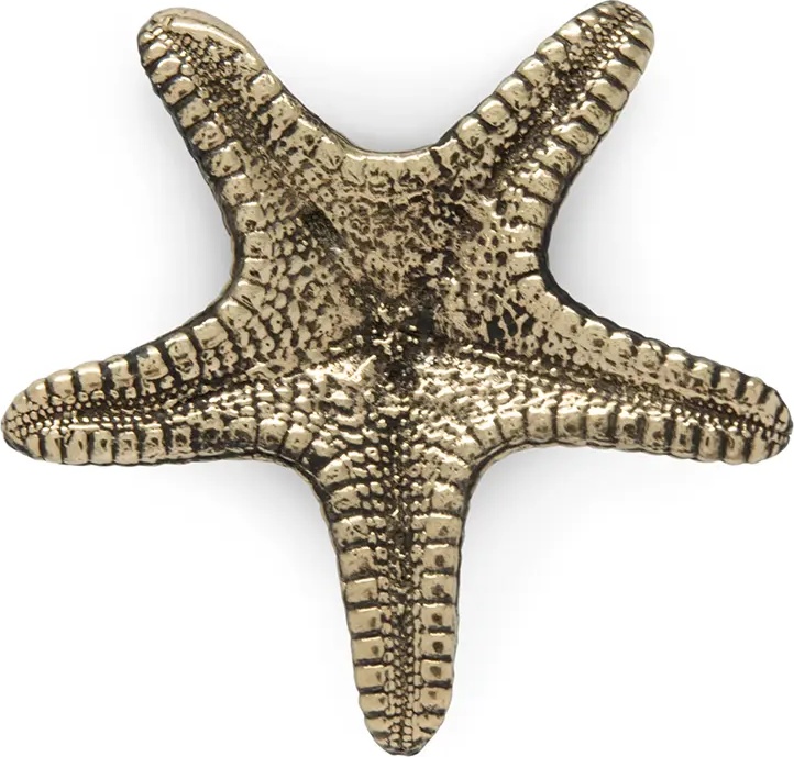 OC2012 Linckia PULLCAST Ocean Collection 