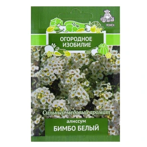 Алиссум «Бимбо» цвет белый