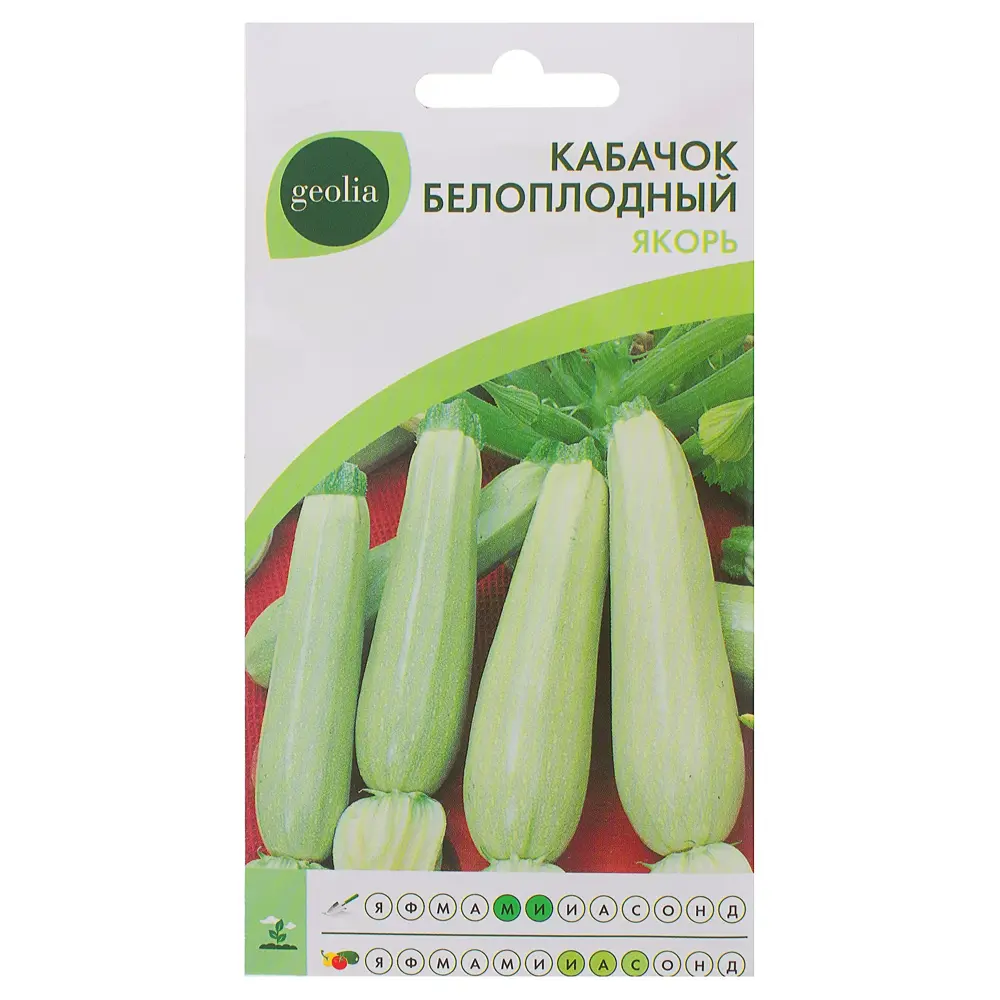 Семена кабачка белоплодного GEOLIA «Якорь» — скороспелый сорт для богатого урожая 17584735 STLM-0008324