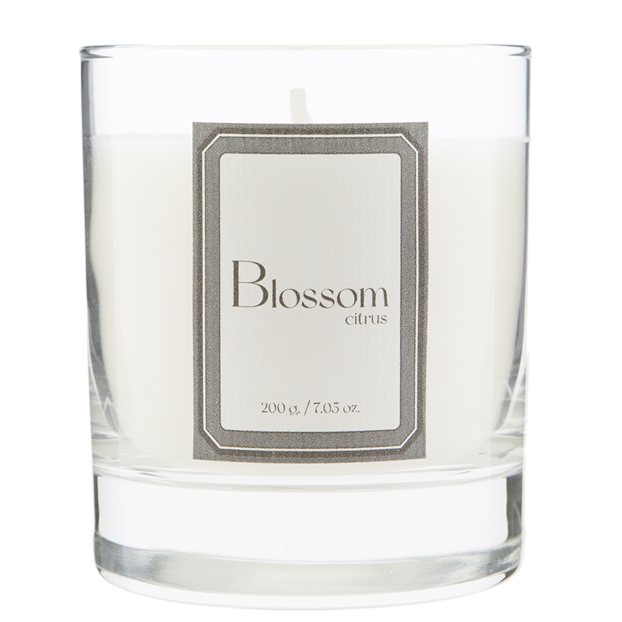 VV040CPHPA Свеча ароматическая sublime, Цитрусовый цвет, 40 ч Ambientair  - Вид №3