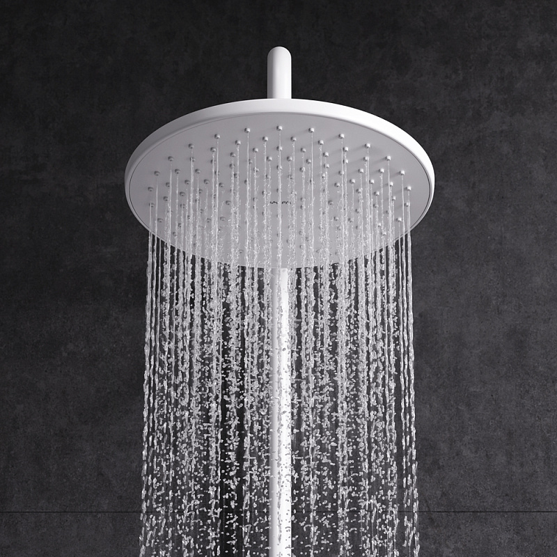 F43885A14 набор 2в1: см-ль д/ванны/душа верхний душ d 220 мм ручн.душ 110 мм 1 ф-ция душев AM.PM X-Joy  - Вид №3