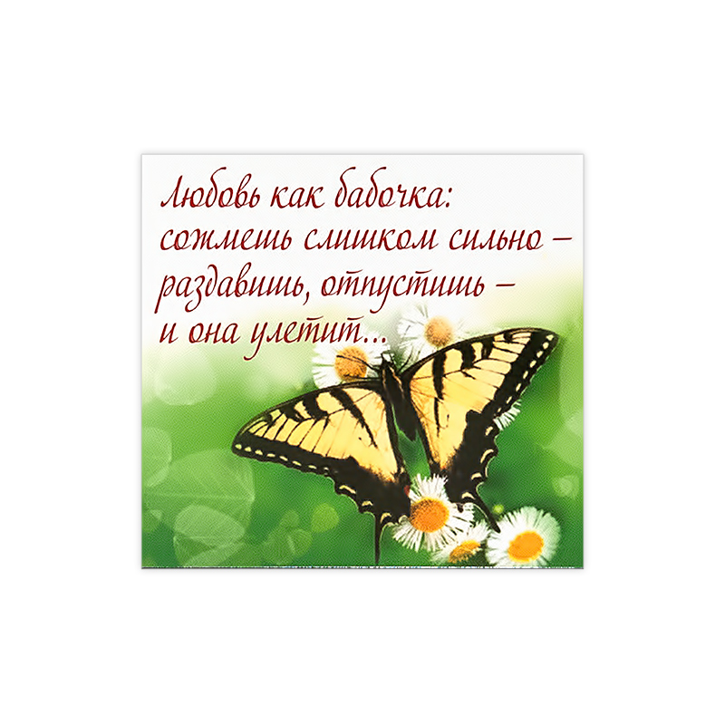 1128 Магнит ПВХ 8.5 x 5 см Любовь как бабочка… Santreyd 
