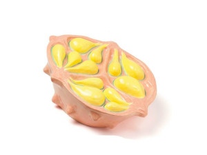 Керамические безделушки