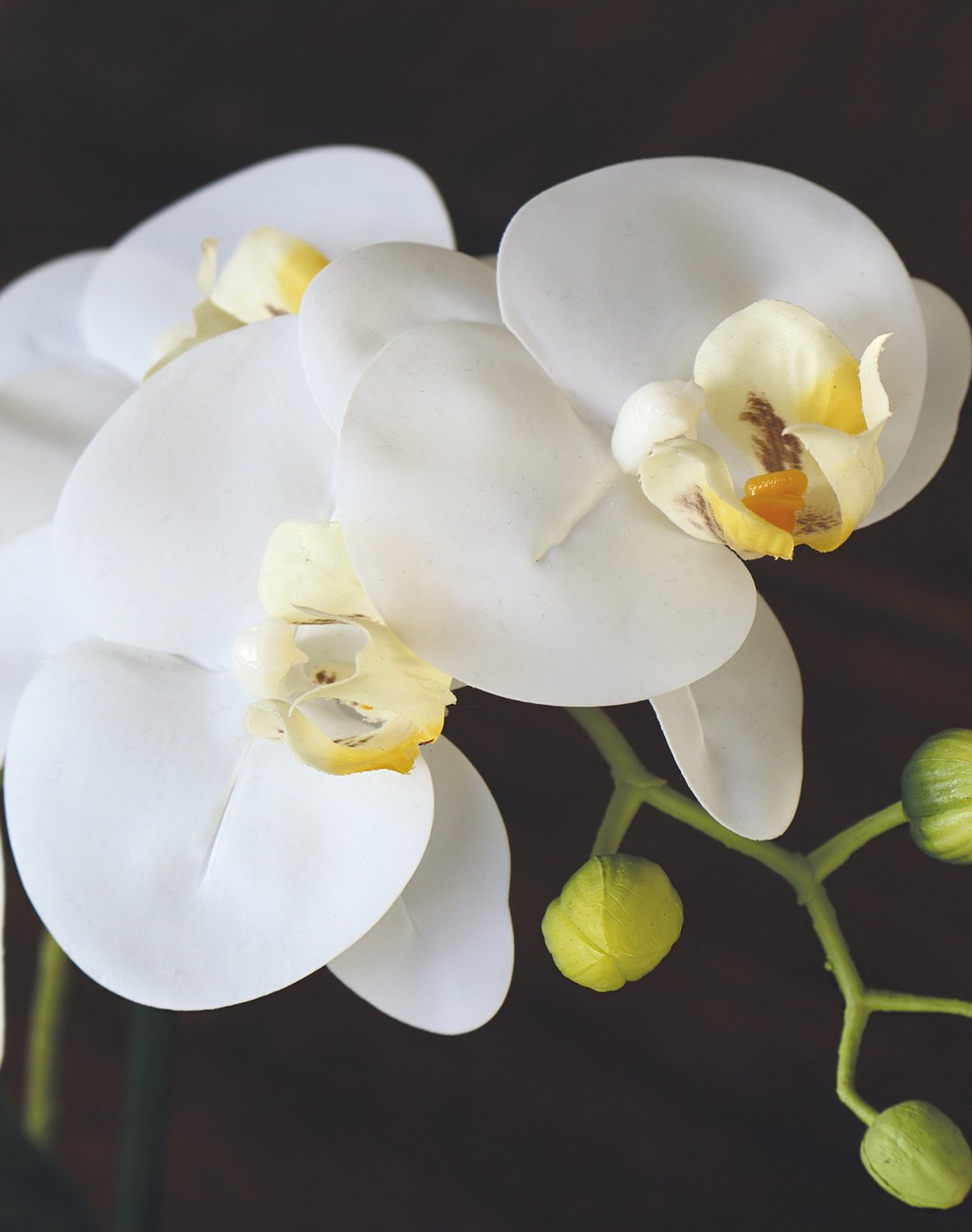 2962 778 a3 Пластиковая орхидея Phalaenopsis в вазе, 29 см, real touch soft, бежево-белая H-andreas  - Вид №2