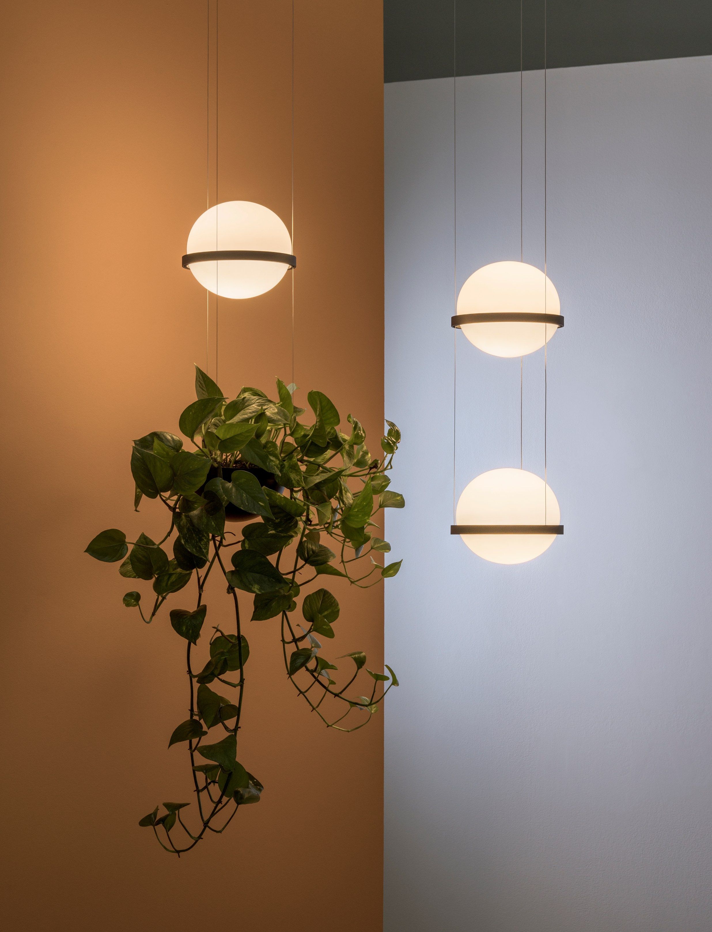 Выдувное стекло светодиодный подвесной светильник Vibia Пальма ARCH-00000969 - Вид №4