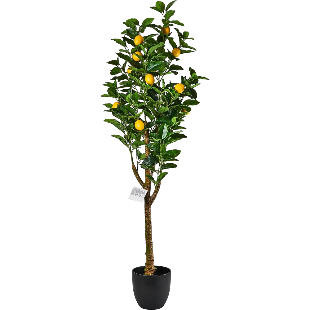 88884646 Искусственное растение Лимонное дерево 130 см STLM-0955204 Santreyd 