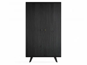 Шкаф распашной двухдверный черный Thimon THE IDEA  210343 Черный