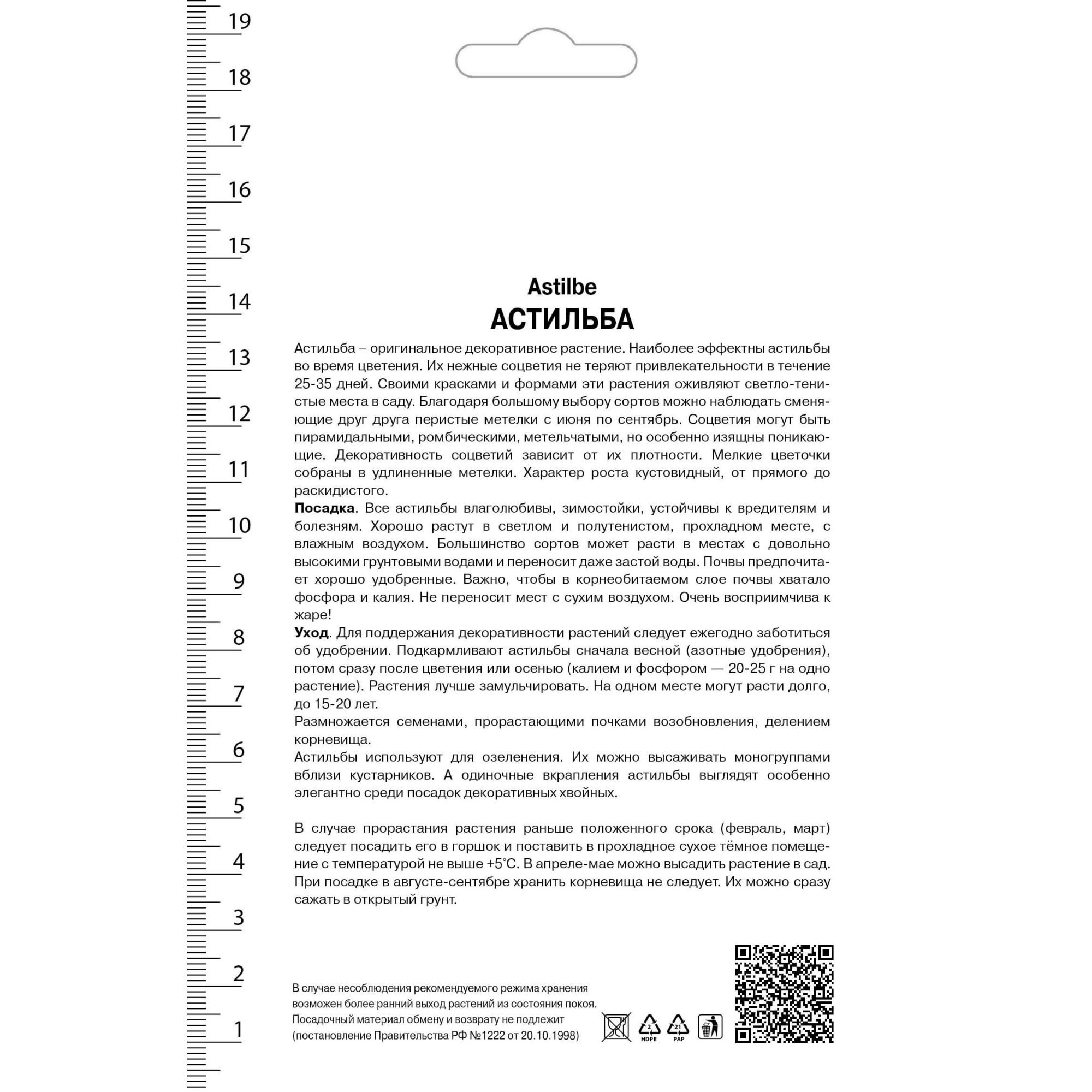 82530326 Астильба Арендса Эденс Одиссей Santreyd  - Вид №1