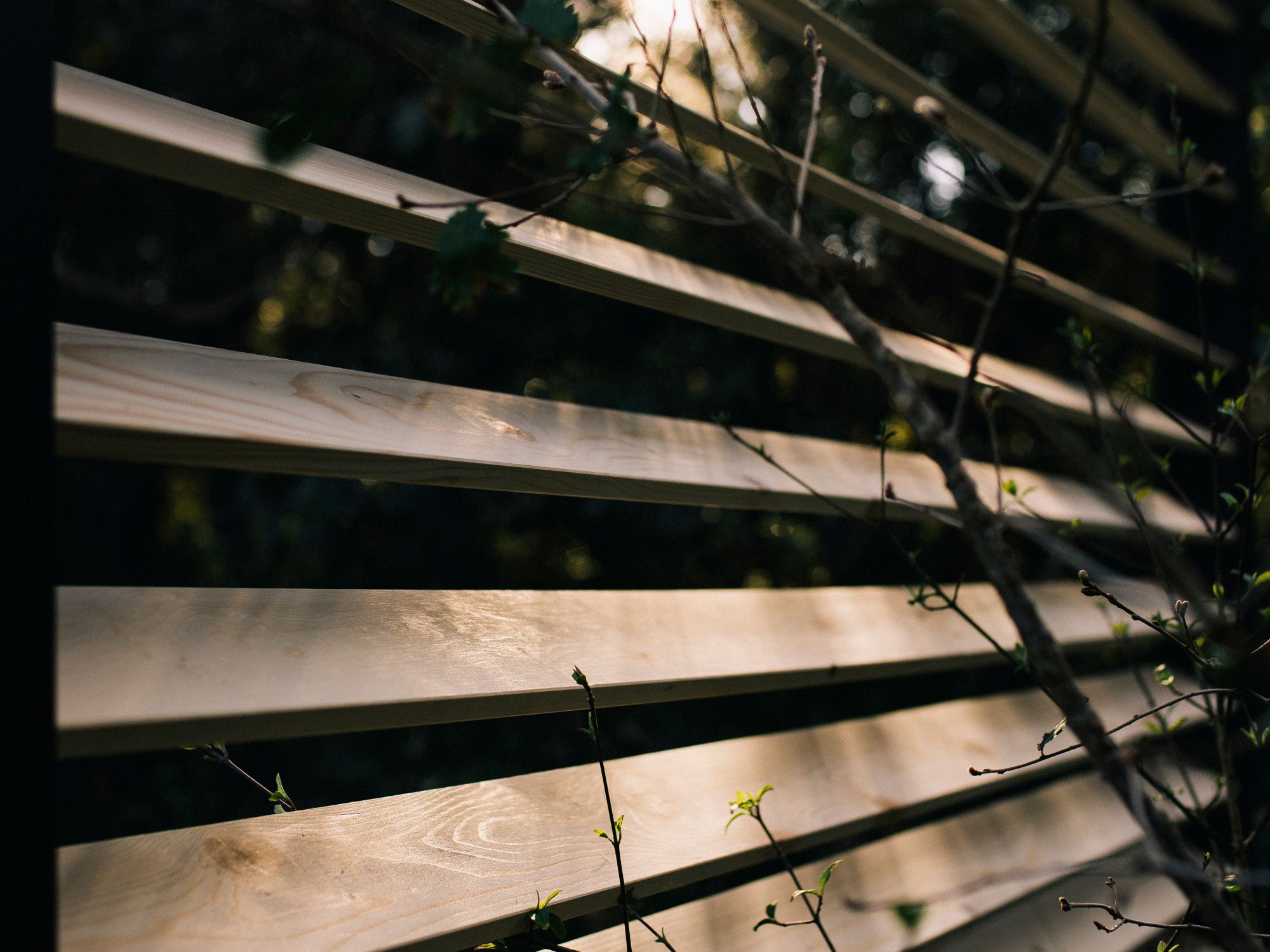 Садовая кровать с навесом calma Alat ARCH-00051063 - Вид №5