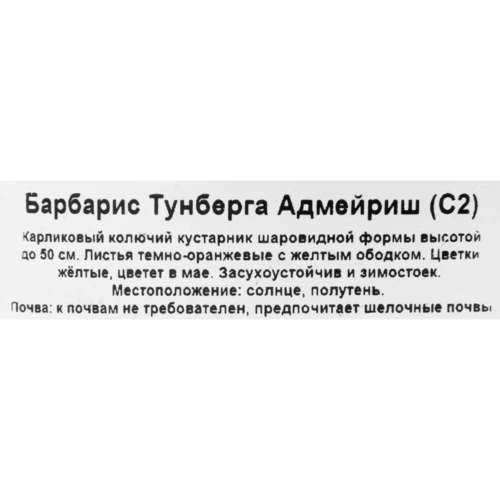 Santreyd Барбарис Тунберга Адмейриш - декоративный кустарник с оранжевой листвой 85325439 STLM-0061591 - Вид №2
