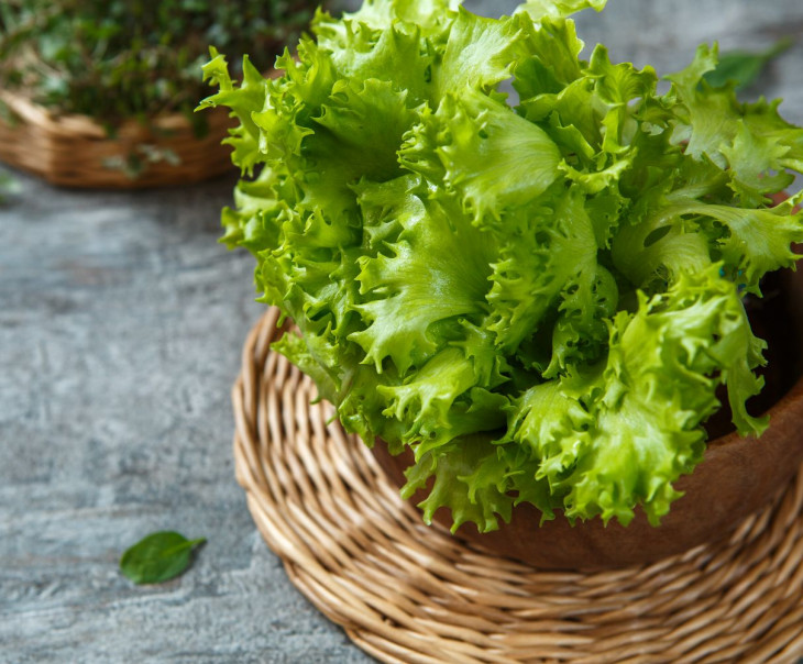 7406 Салат "Фриссе" в горшочке Выращено Рядом (iFarm) Вкусляндия  - Вид №1