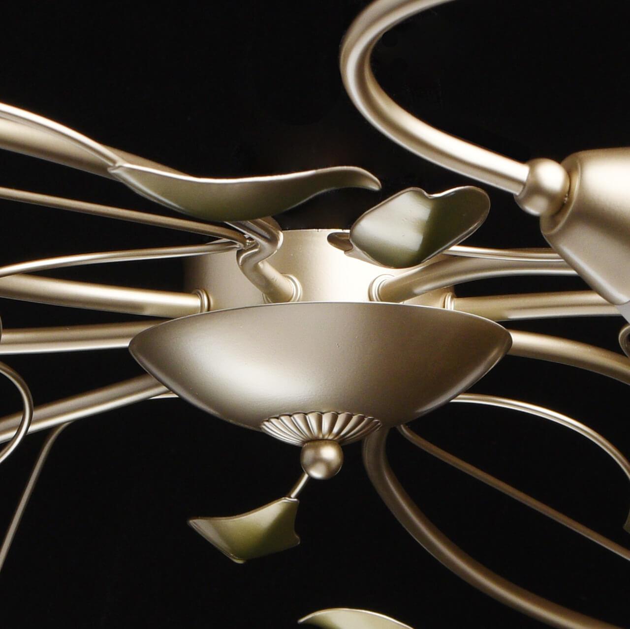 Потолочная люстра MW-Light Верона 334013208 MW-LIGHT ДИЗАЙНЕРСКИЕ, ВЕРОНА 220158 Белый  - Вид №3