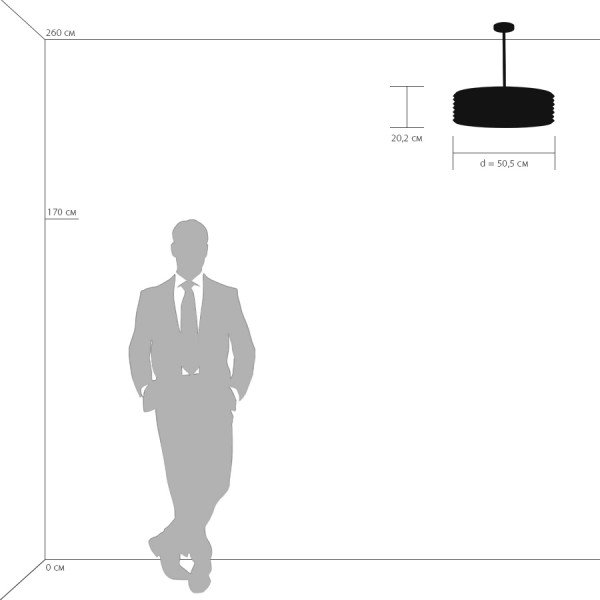 Подвесная люстра Lightstar Amerigo 746068 LIGHTSTAR ДИЗАЙНЕРСКИЕ, AMERIGO 109219 Черный  - Вид №2
