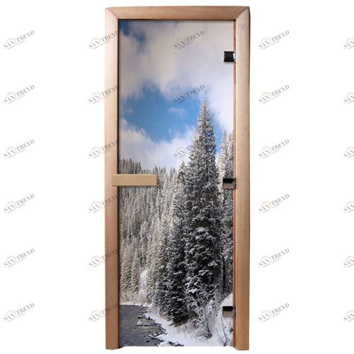 DoorWood Дверь с фотопечатью А095 5579