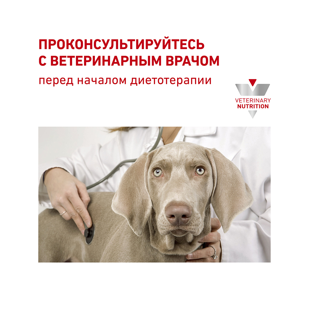 ПР0018795 Корм для собак Vet Diet Anallergenic AN18 при пищевой аллергии сух. 8кг ROYAL CANIN  - Вид №7