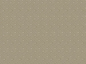 COLORISTICA 2527-21 Портьерная ткань  Жаккард  LaVita