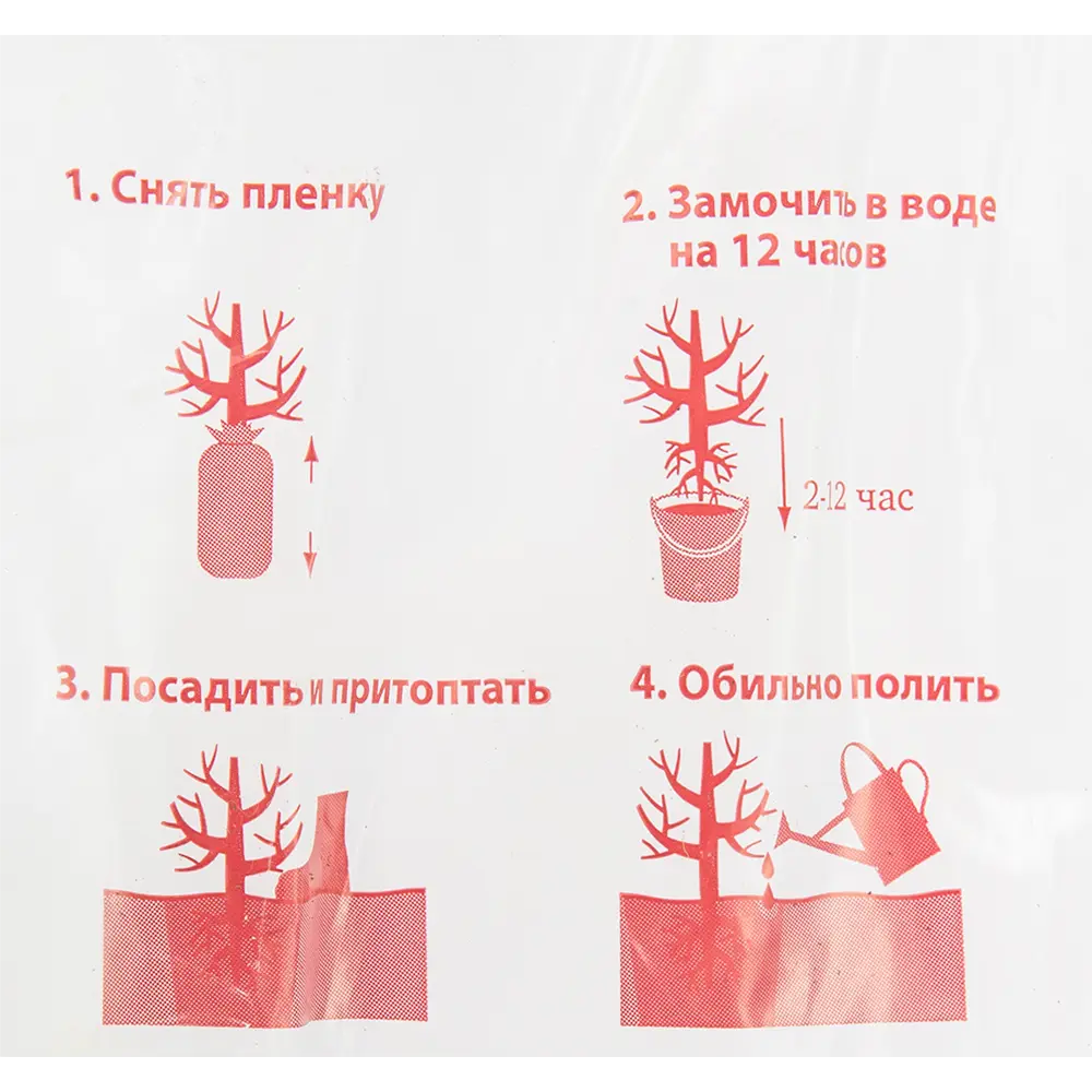 Кизильник блестящий в пакете 82527676 STLM-2179312 Santreyd  - Вид №2