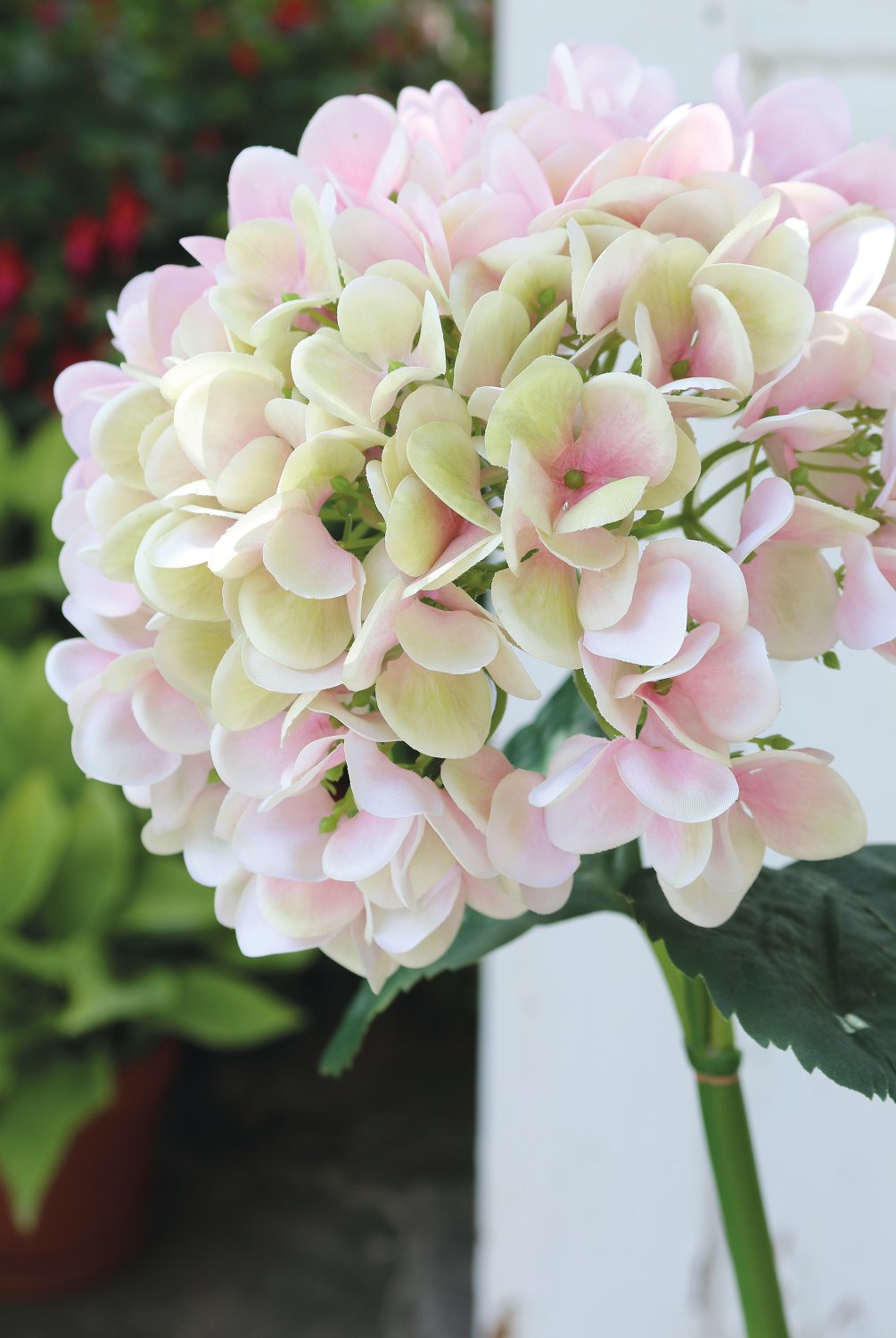 2270 508 a3 Искусственная гортензия, 65 см, розово-зеленая H-andreas 