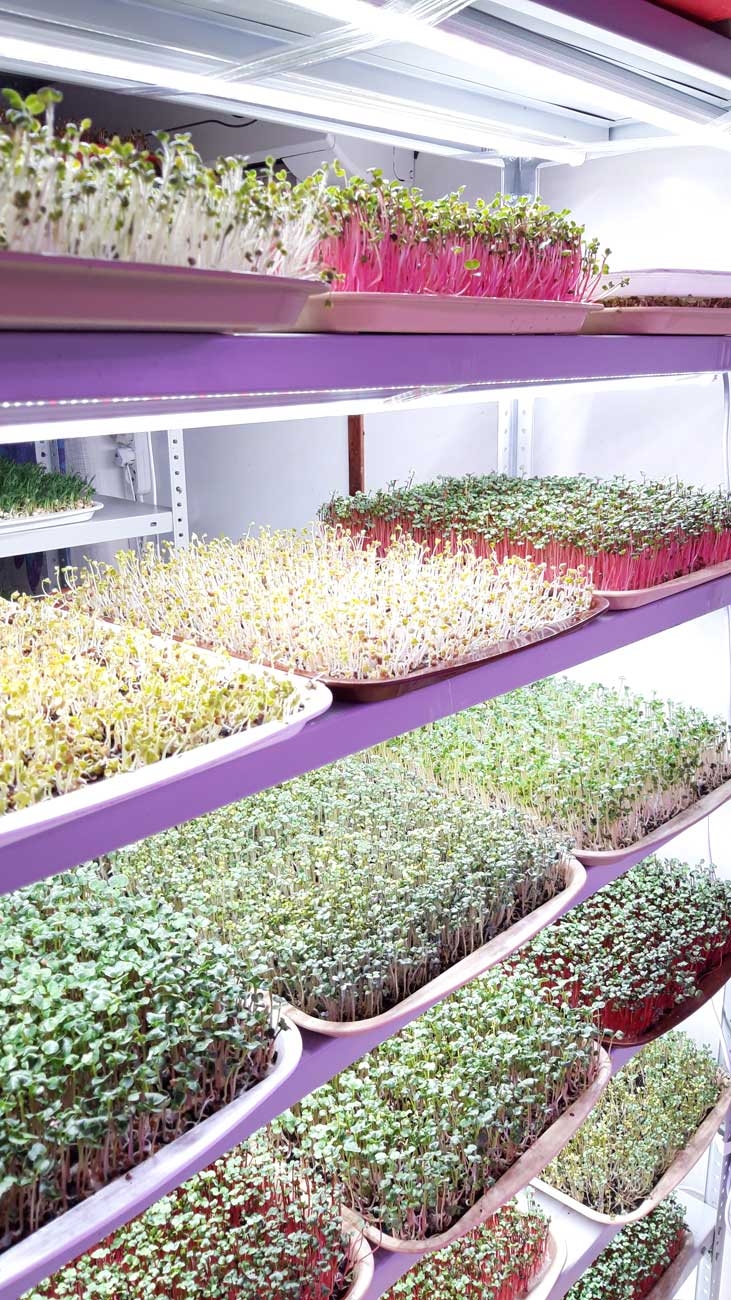 1038 Фитолампа для растений линейная VA-3 120 см Биколор комфорт 5000+660 LAB.Space  - Вид №9