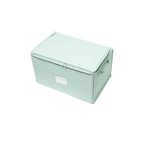 Короб с вакуумным пакетом Spaceo 56x36x33 см цвет зеленый