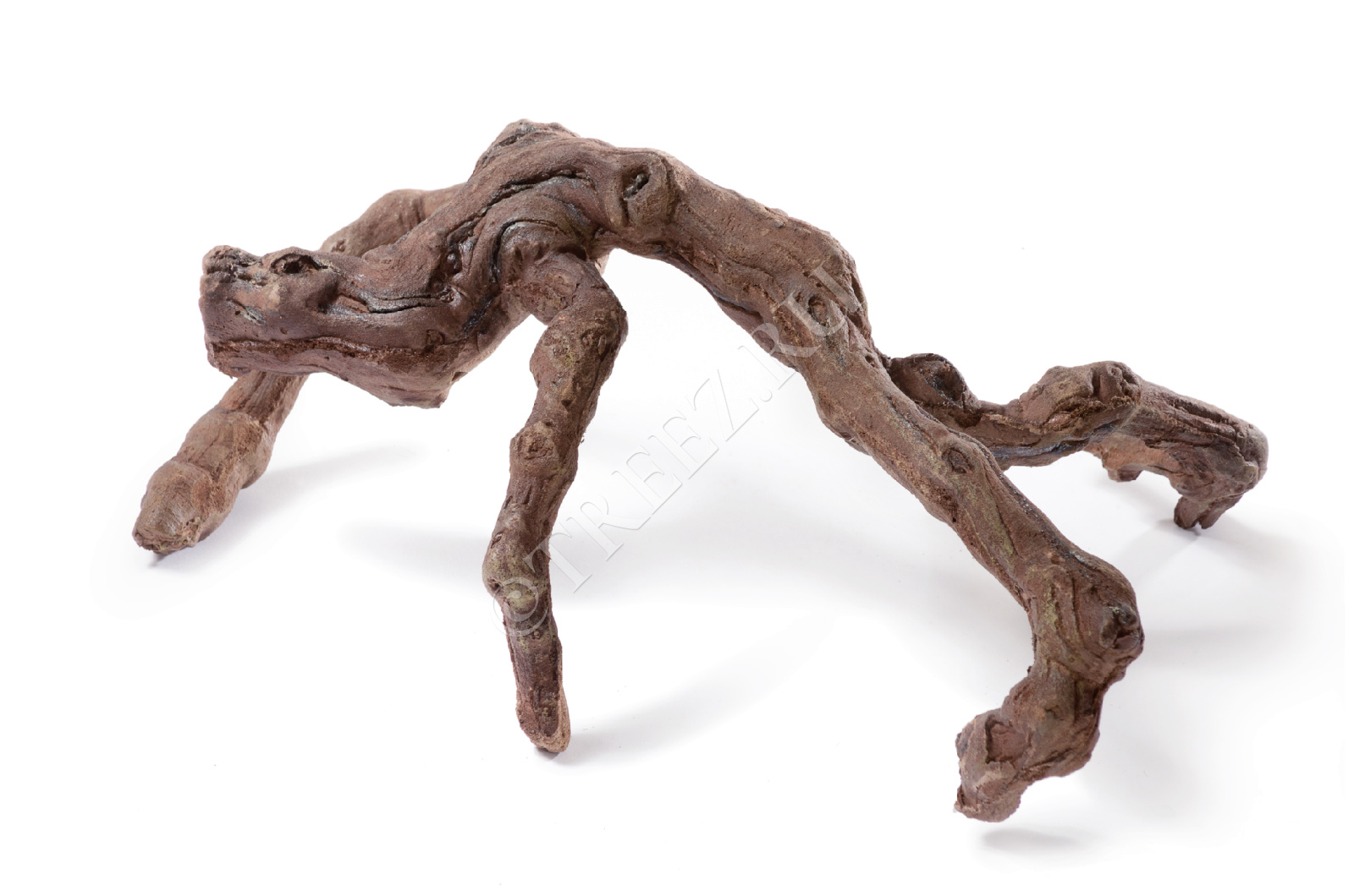 30.0313036 Коряга тёмно-коричневая Man Цветочная коллекция 