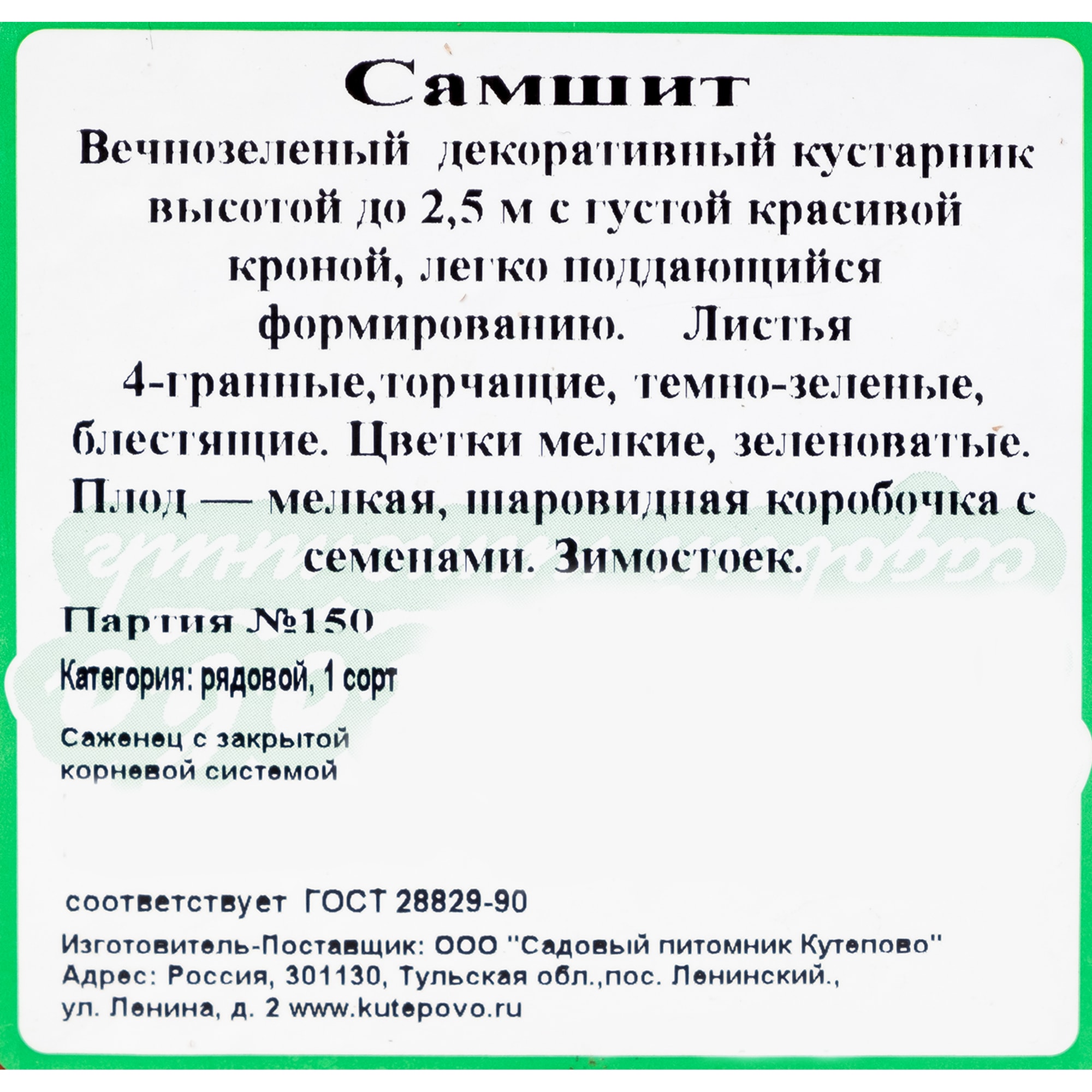 81954853 Самшит С2 h30 Santreyd  - Вид №1