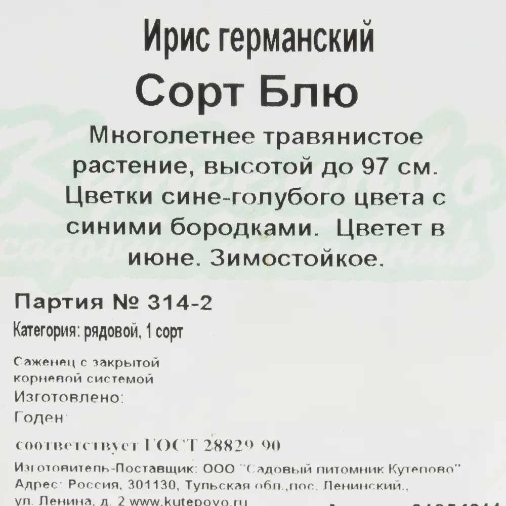 Ирис германский Блу от Santreyd — фиолетовое цветущее чудо в горшке 81954811 STLM-0950893 - Вид №1