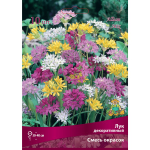 Лук декоративный смесь окрасок размер луковицы 5/6, 10 шт.