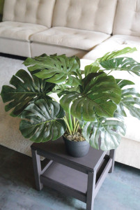 4360 883 a3 Искусственная монстера (швейцарский сырный завод), в горшке, 55 см, зеленая H-andreas