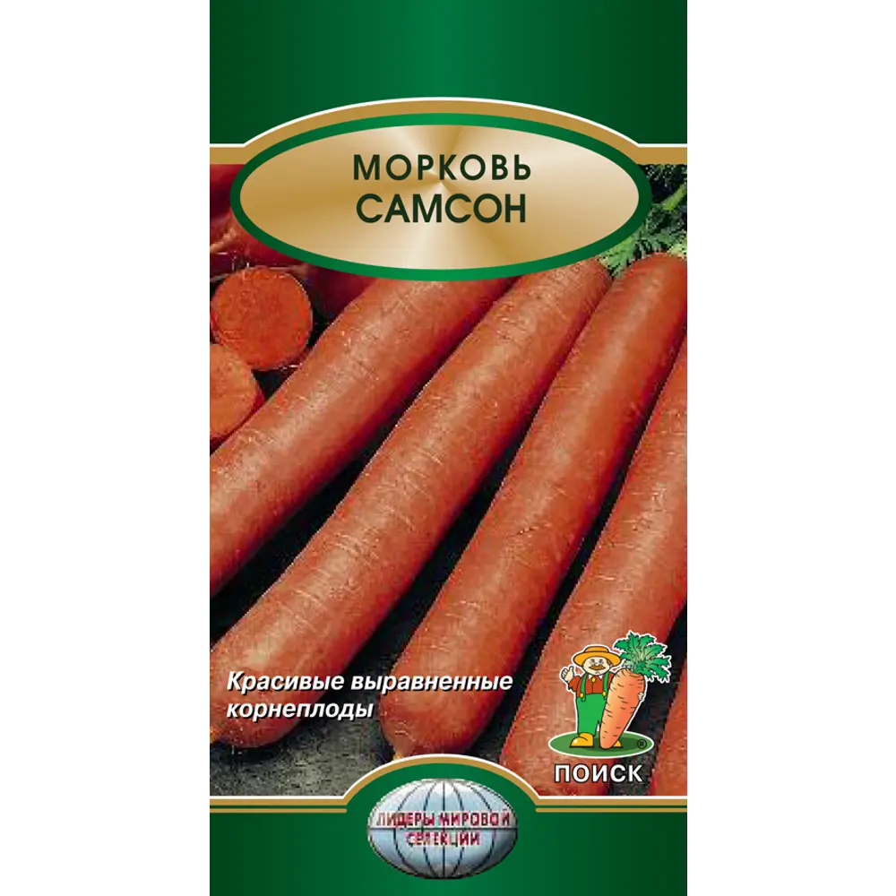 Морковь Самсон от ПОИСК — высокоурожайный сорт для свежего употребления и хранения 83126274 STLM-0951283